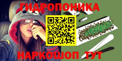 бошки Кинель